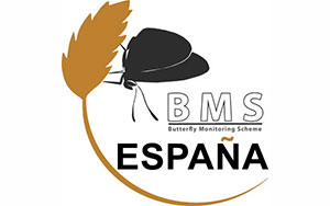 BMS España
