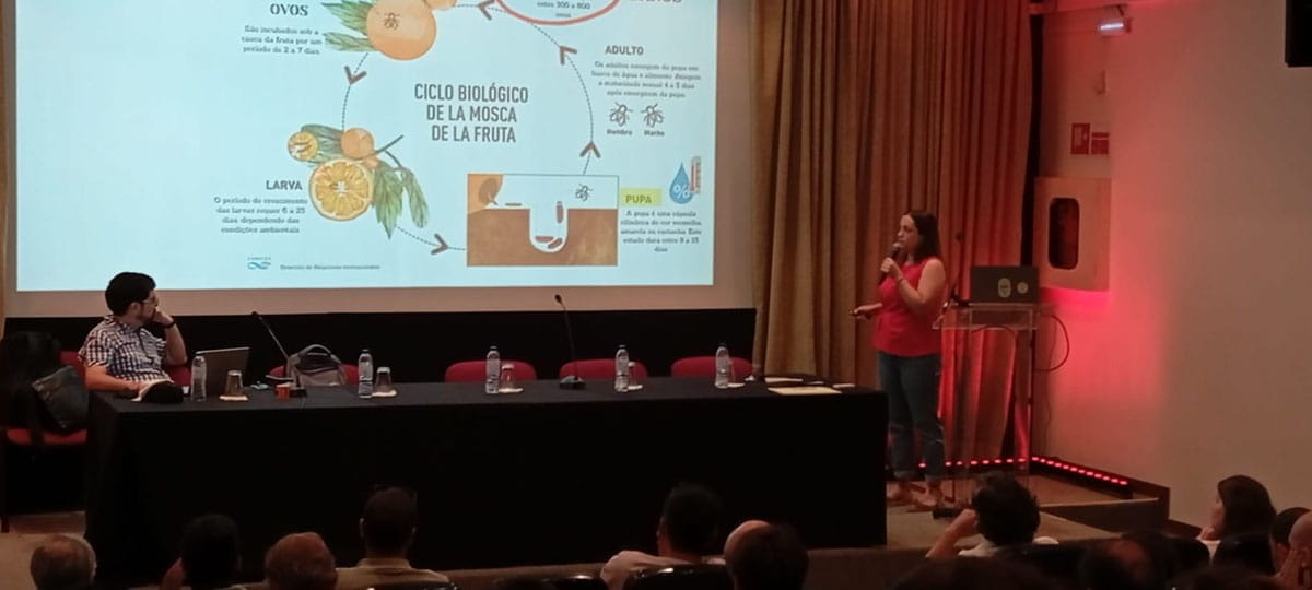Divulgación 9