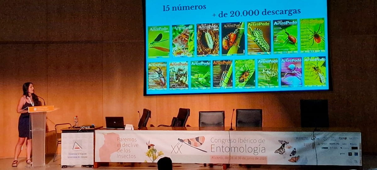 Divulgación 11