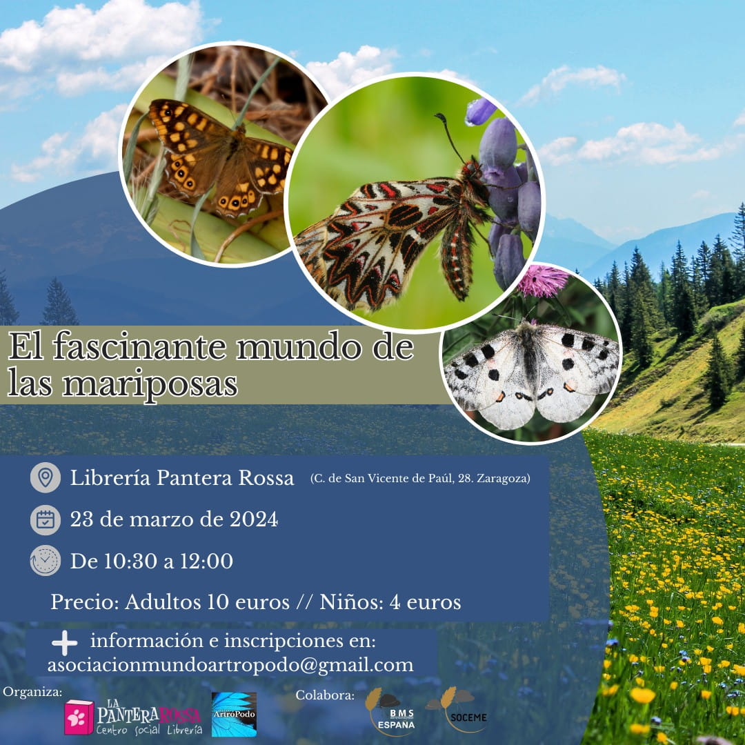 Talleres y eventos