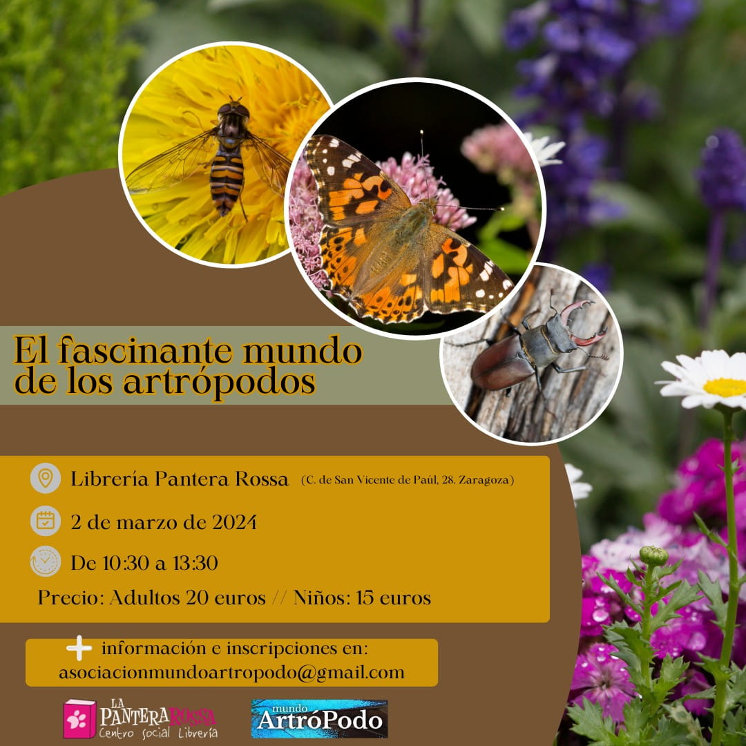 Talleres y eventos