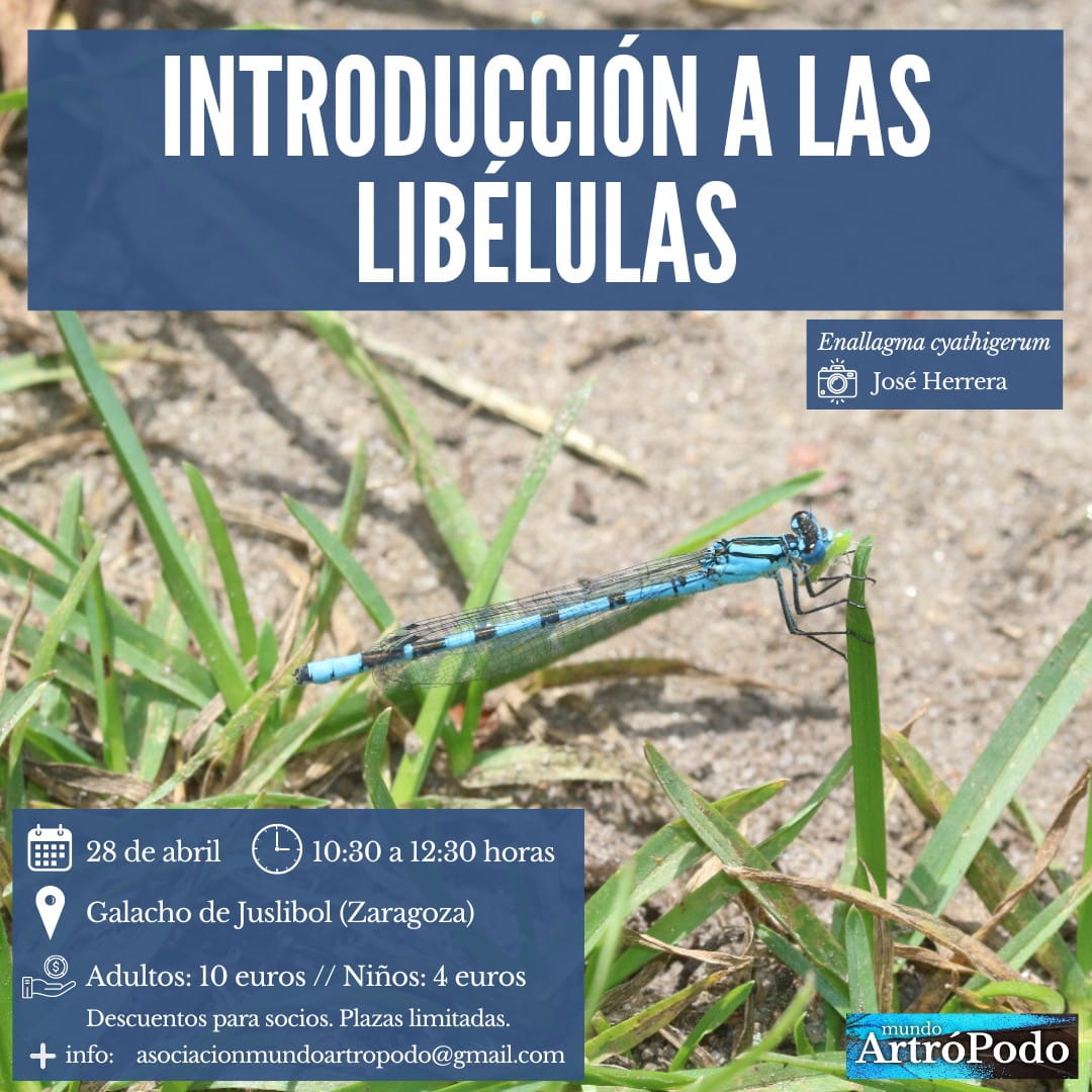 Talleres y eventos