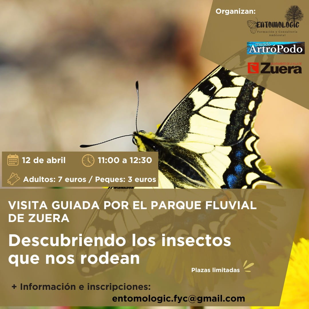 Talleres y eventos