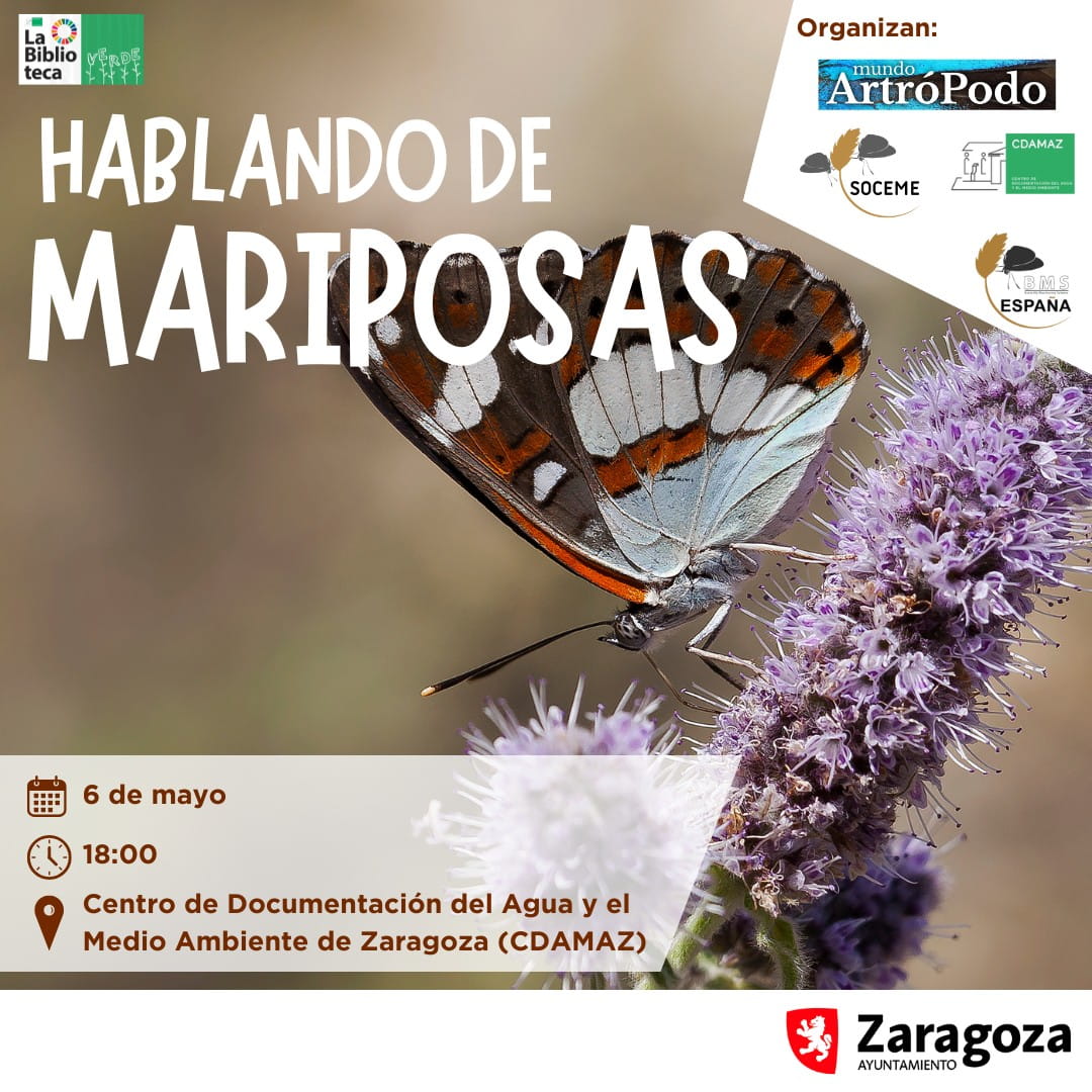 Talleres y eventos