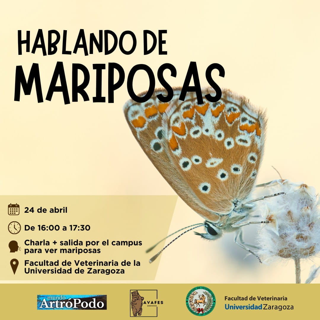 Talleres y eventos