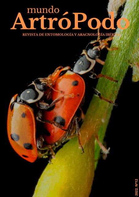 Revista 12