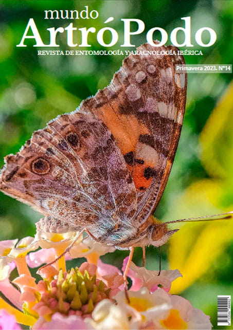 Revista 14